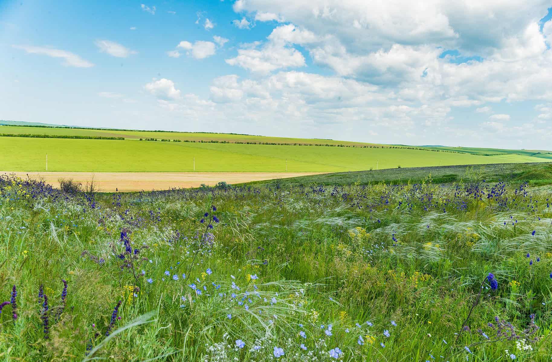 Naturschutzgebiet Bugeac in Gagausien (Moldavien) 
