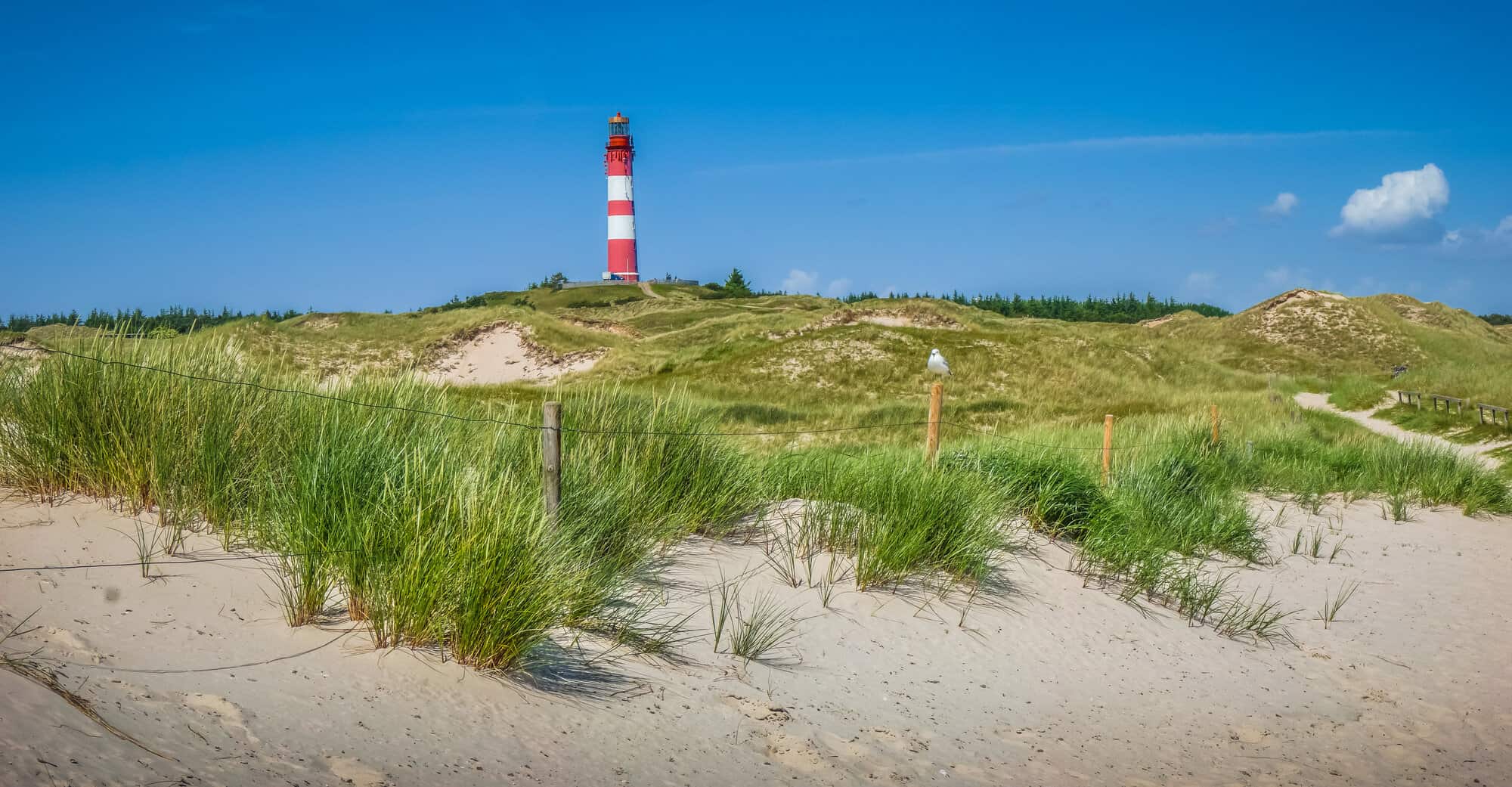 Dünenlandschaft in Dänemark 